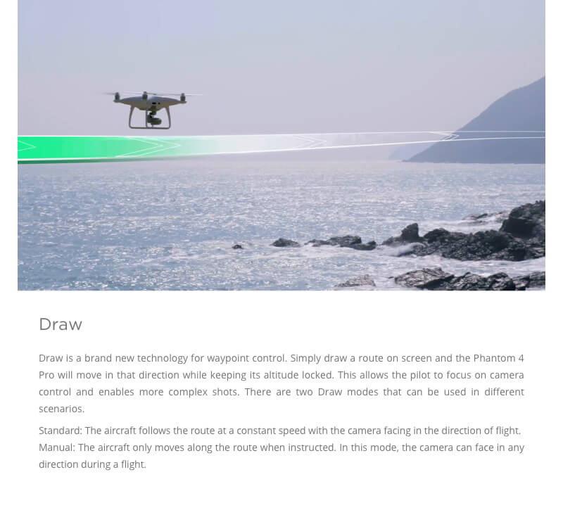 DJI Phantom 4 Pro+ 5.5