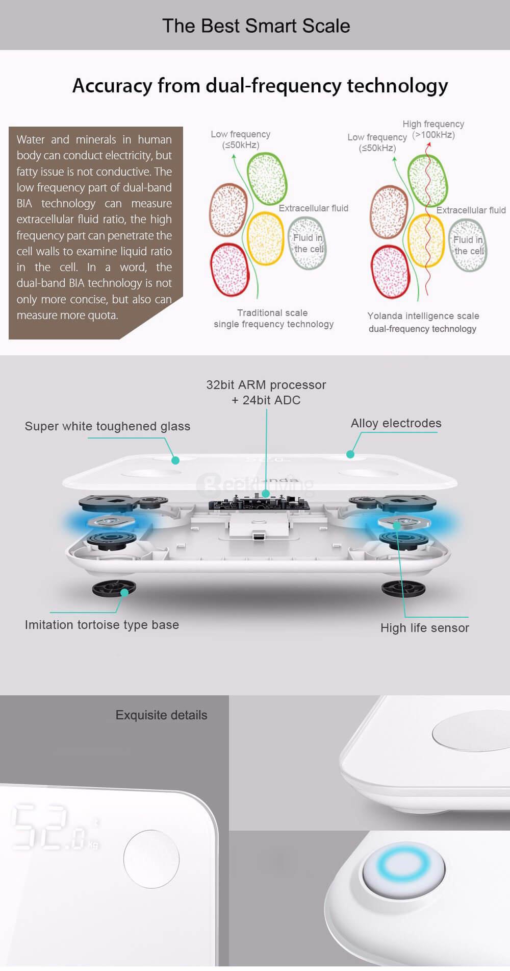 Yolanda Intelligent Fat Scale Body Scale