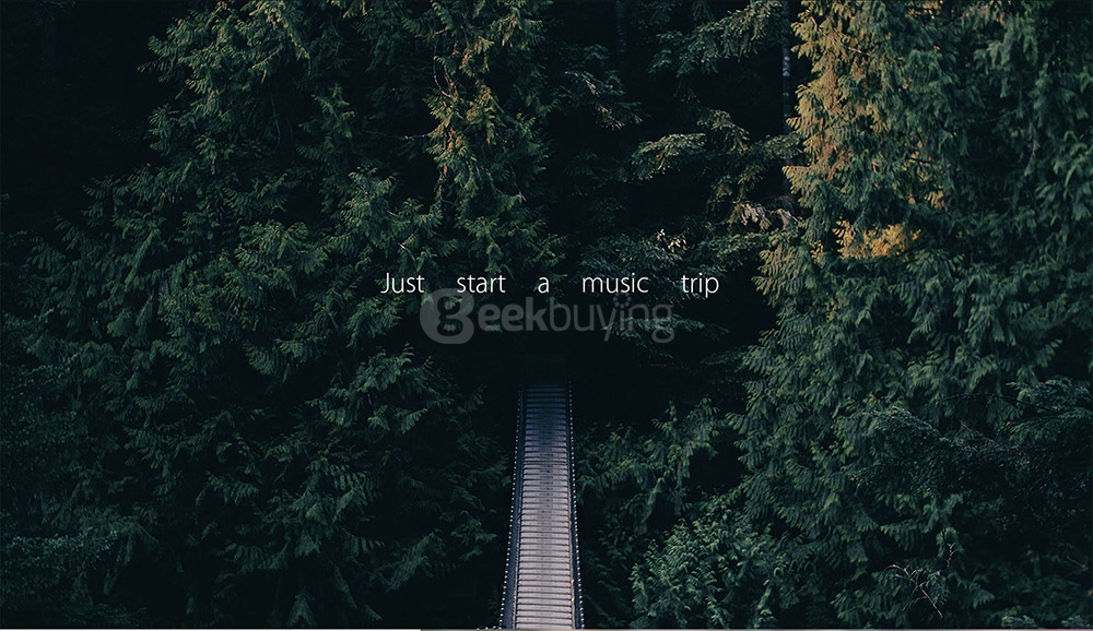 Original Xiaomi Hybrid Earphones Pro Mi Piston 4 with MIC Dual Drivers Wired Control for Android iOS - Silver