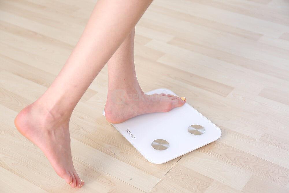 Yolanda Intelligent Fat Scale Body Scale