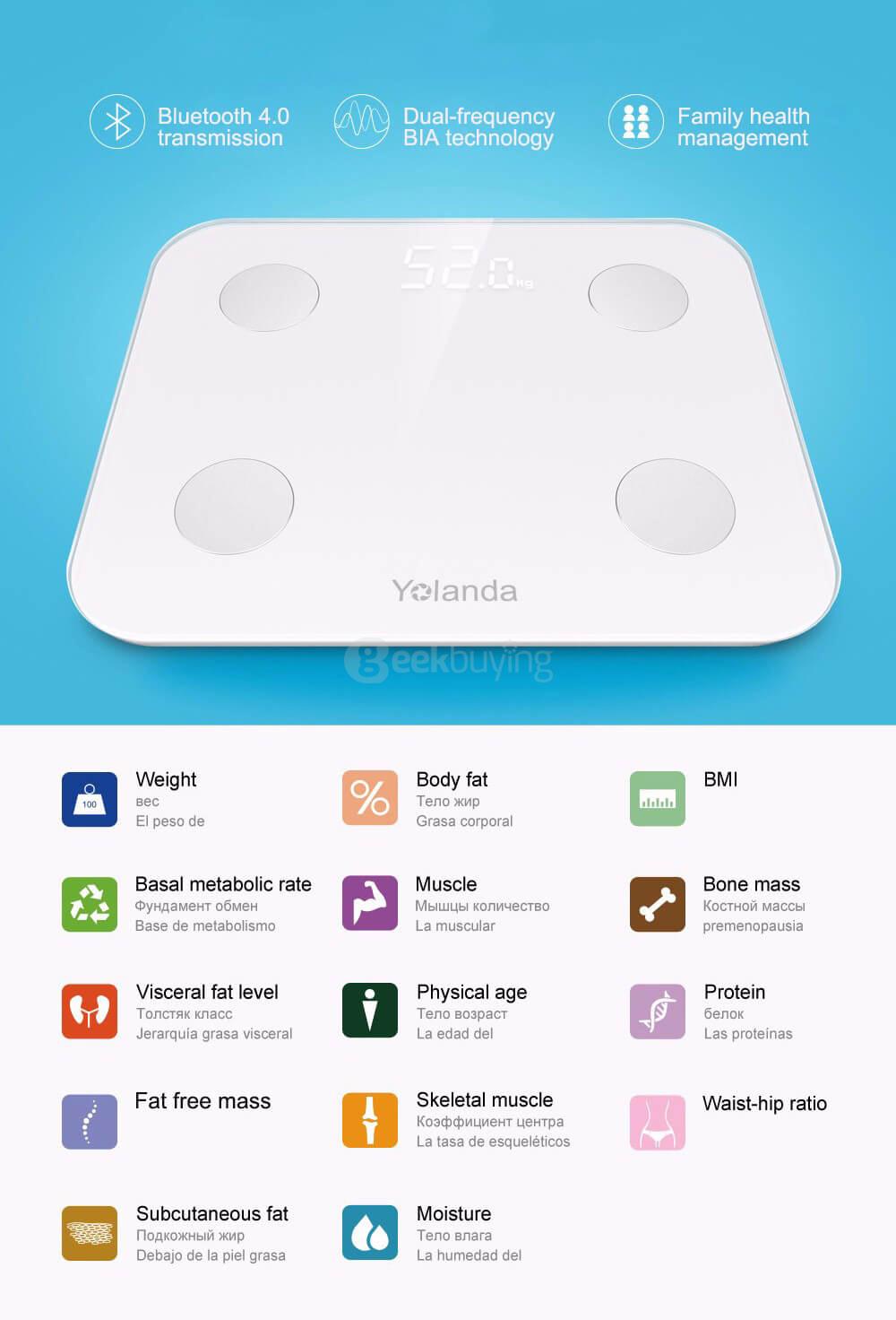 Yolanda Intelligent Fat Scale Body Scale