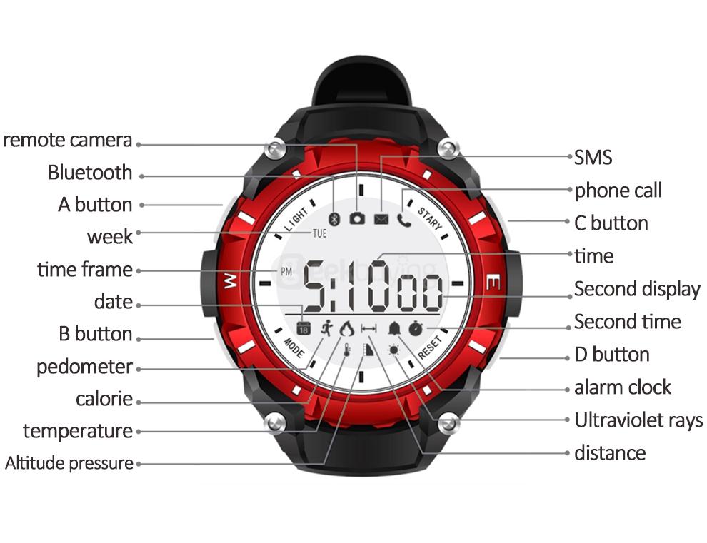 DZB DA14580 Bluetooth 4.0 Smart Watch Heart Rate Monitor Pedometer Remote Camera SMS Call for Android iOS - Black+Green