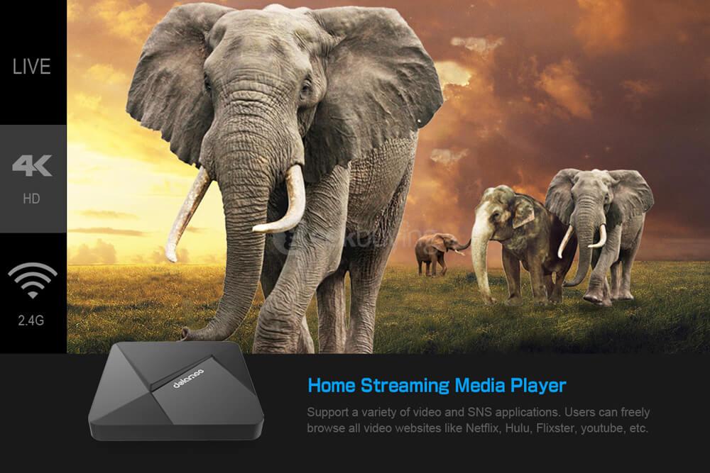 Bundle DOLAMEE D5 Android 5.1 RK3229 2G/16G 4K TV BOX + Tronsmart TSM01 English Version Air Mouse