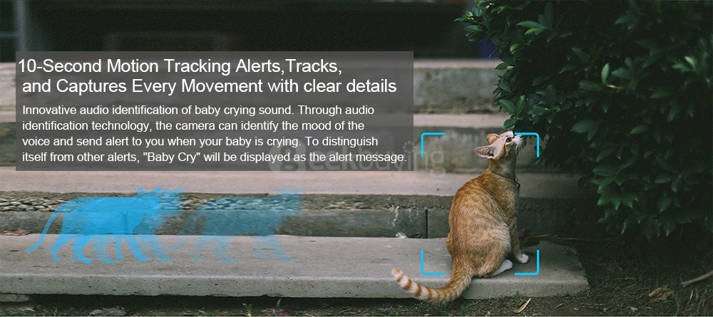 [HK Stock] Original Xiaoyi YI 1080p Dome Camera Home Security System WiFi IP Camera 360 Degree Rotation Night Vision Motion Detection Two-way - White(EU Plug)