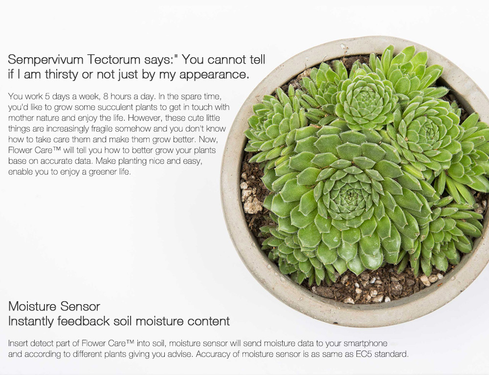 [Package B]Original Xiaomi Mi Flowerpot + Original Xiaomi Mi Plants Monitor Flower Plants Tester - White
