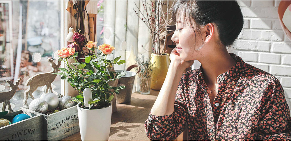 Original Xiaomi Mi Plants Monitor Flower Plants Tester Mi Plants Sensor with Bluetooth Connection - White