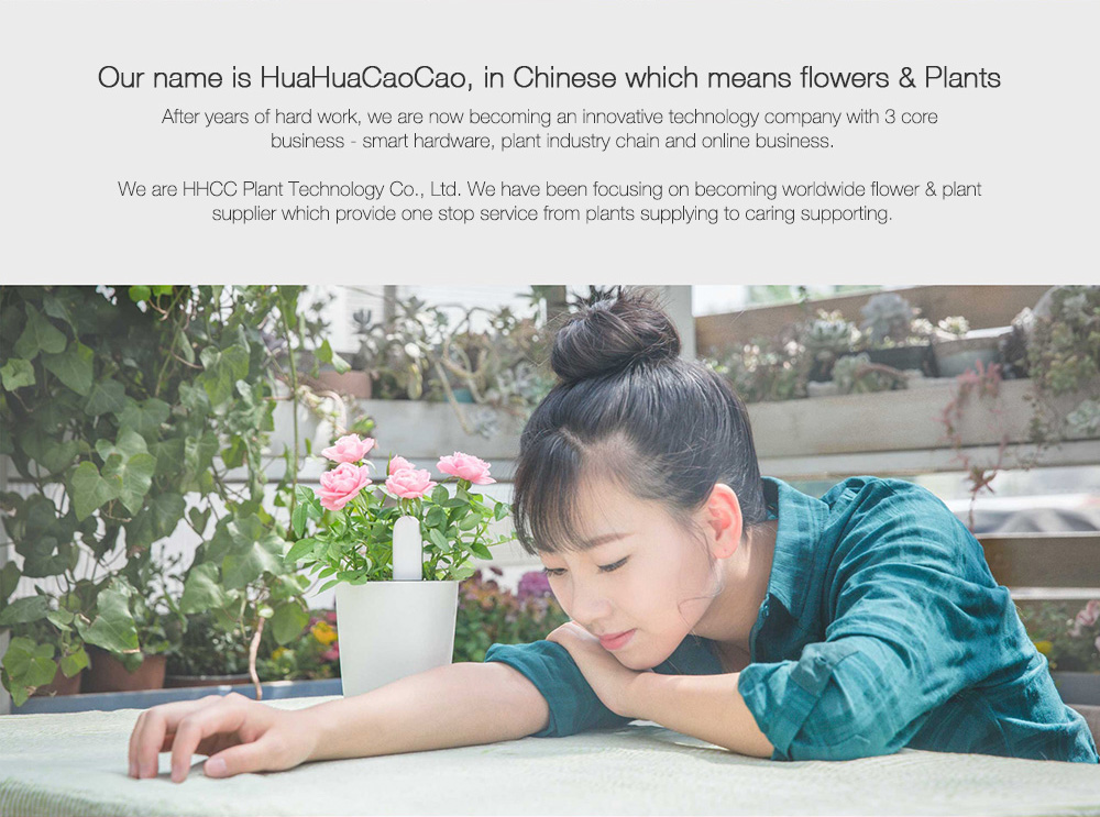 Original Xiaomi Mi Flowerpot + Original Plants Monitor