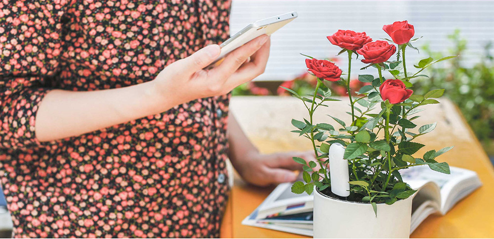 [Package B]Original Xiaomi Mi Flowerpot + Original Xiaomi Mi Plants Monitor Flower Plants Tester - White