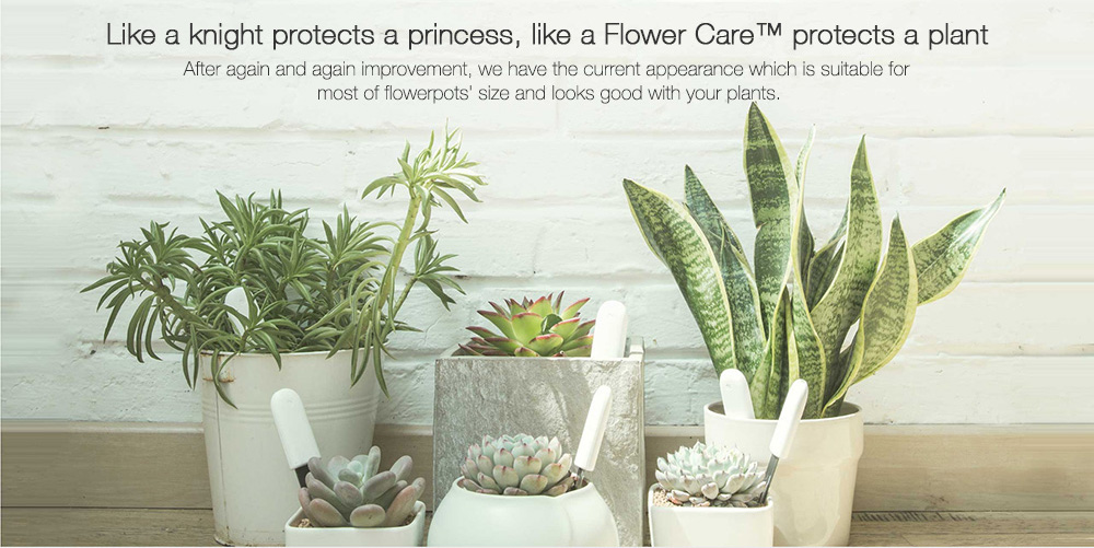 [Package B]Original Xiaomi Mi Flowerpot + Original Xiaomi Mi Plants Monitor Flower Plants Tester - White