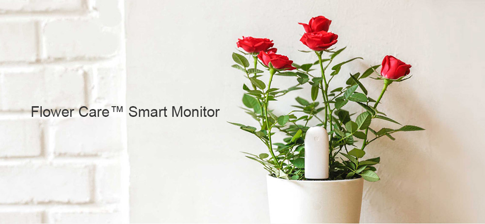 [Package B]Original Xiaomi Mi Flowerpot + Original Xiaomi Mi Plants Monitor Flower Plants Tester - White