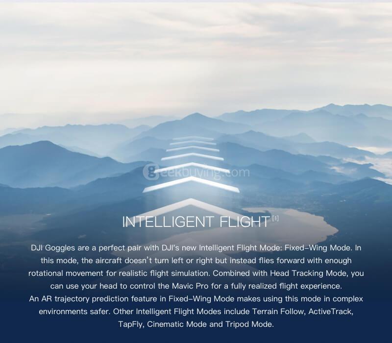 DJI Goggles 5 Inches Head Tracking FPV Glasses for DJI Phantom Mavic Pro Inspire