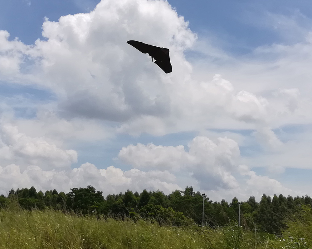 E-DO Skywing 680mm Wingspan EPP FPV Racer RC Flywing - Kit Version