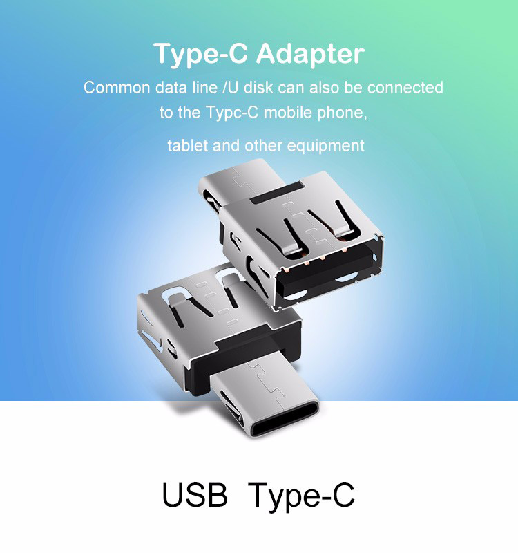 DM Phone USB Flash Drive Micro USB into Type C Adapter Silver