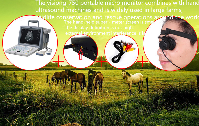 VISION-750 80 "Zoll 854x480 Videobrille Monitor Monocular Screen für RC Drone 