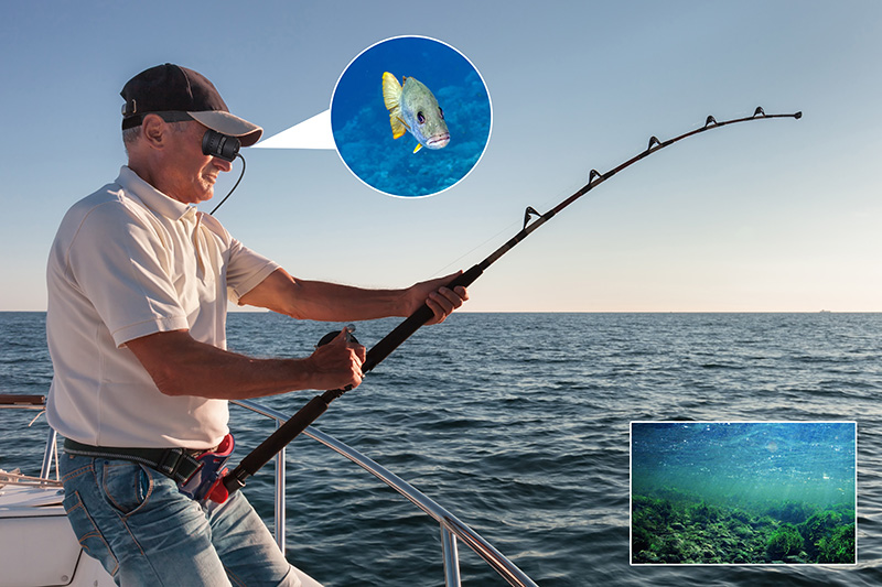 Vision-750 Micro Monitor 80" FPV Virtual Night Vision Monocular Display Monitor For DJI Models