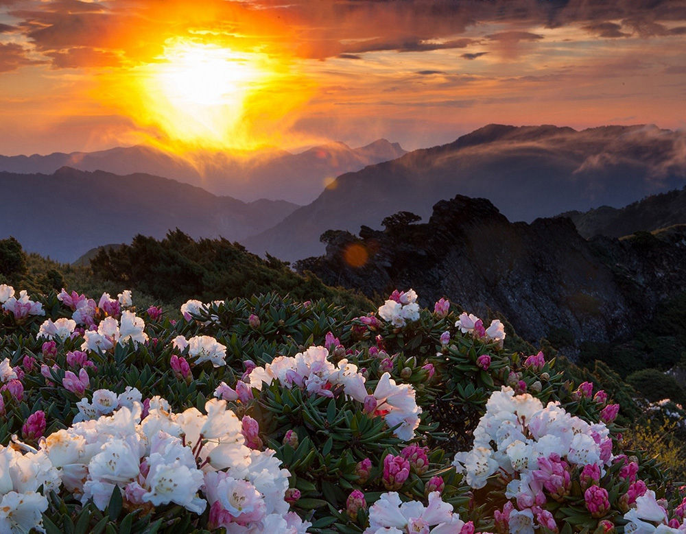 [HK Store]Elephone S8 6.0 Inch 4G LTE Smartphone 2K Full Screen Display Helio X25 Deca Core 4GB 64GB 21.0MP Cam Android 7.1 Touch ID 4000mAh  Qiuck Charge 3D Curved Glass Body - Blue