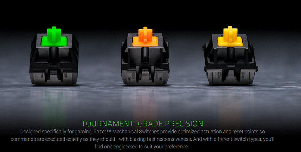 [HK Stock] Razer BlackWidow Tournament Edition Chroma V2 Wired Mechanical Gaming Keyboard RGB Tactile Clicky Razer Green Switches With Wrist Rest - Black