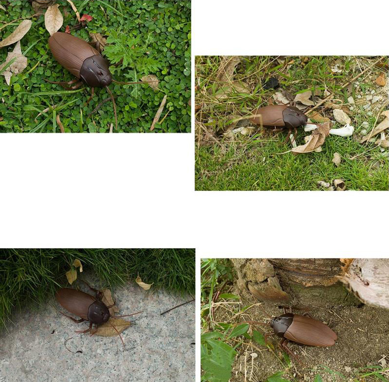 Infrared Remote Control Scary Cockroach Trick Toy - Brown