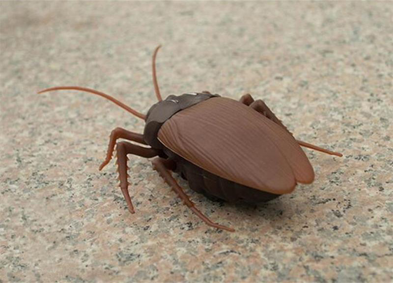 Infrared Remote Control Scary Cockroach Trick Toy - Brown