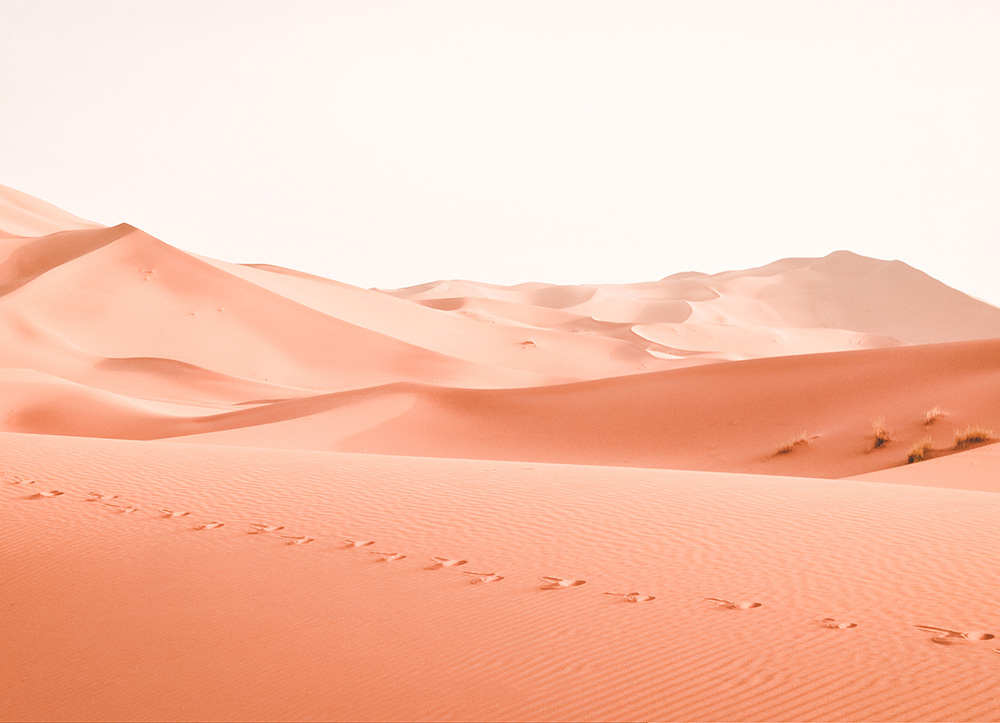 [HK Stock]Elephone P8 Max 5.5 Inch  4G LTE Smartphone FHD Screen 4GB RAM 64GB ROM 13.0MP+16.0MP Cam Octa Core Android 7.0 Touch ID Metal Body 5000mAh - Black