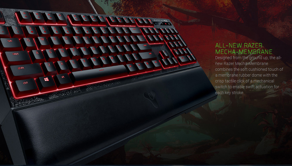 Razer Ornata Chroma Destiny 2 Edition Mecha-Membrane RGB Keyboard
