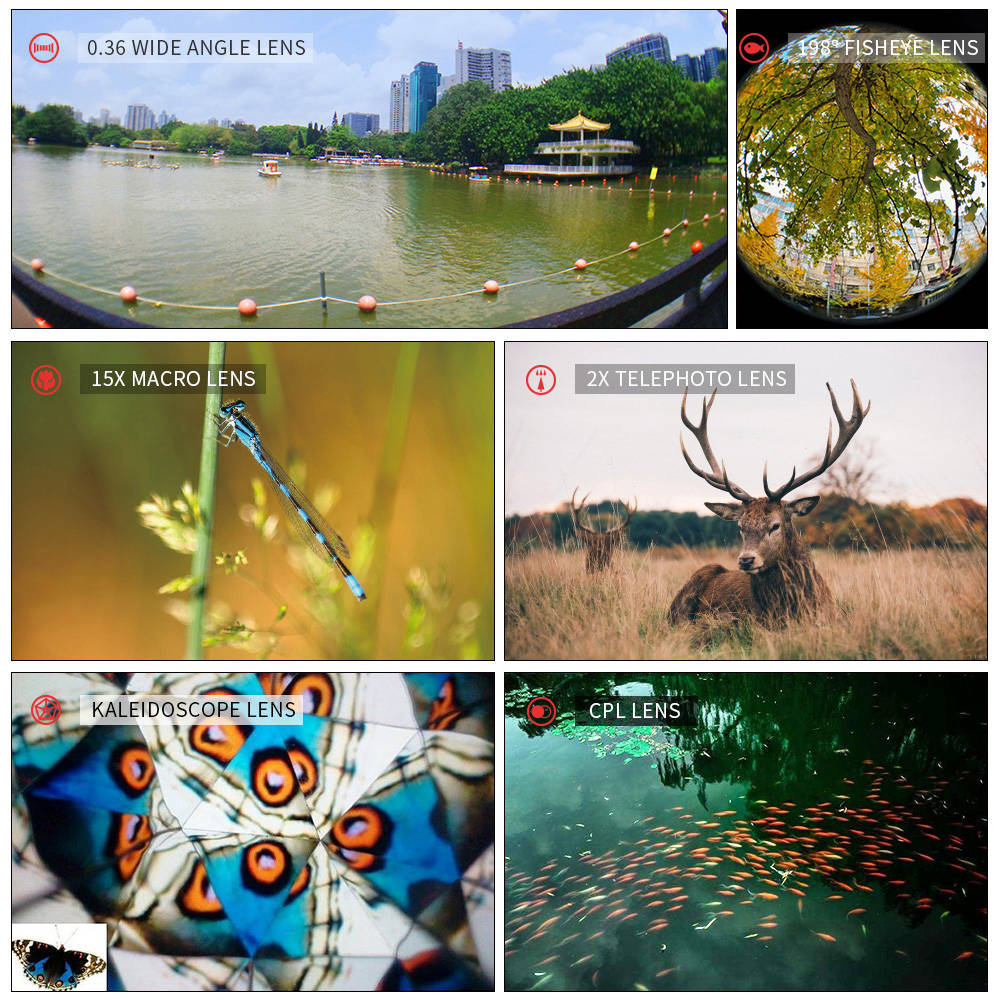 Apexel APL-DG7 7 in 1 Wide Angle + Macro Lens Clip External Phones Camera Lens Kit - Black