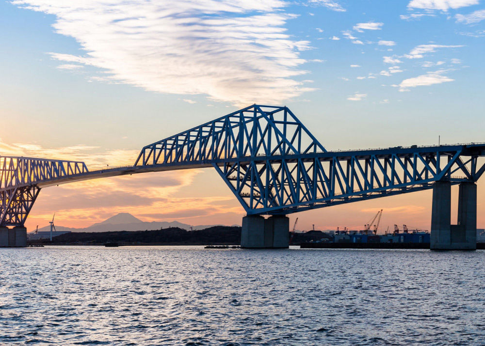 DJI Osmo Mobile 2 3-Axis Brushless Handheld Gimbal Stabilizer for Smartphones