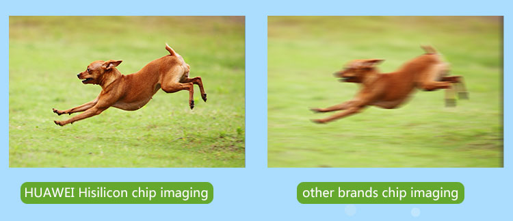 VStarcam C63S 1080P WiFi IP Camera 1/2.9 Inch CMOS PnP IR-Cut Night Vision Motion Detection IP66 Waterproof Security Camera -White