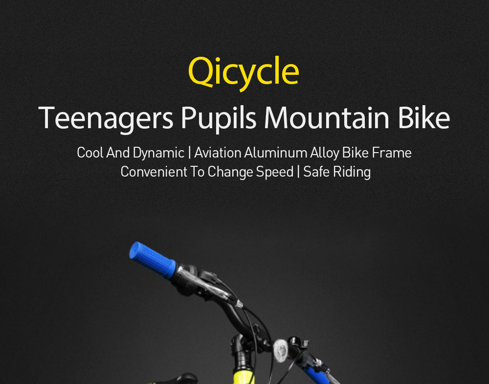 qicycle mountain bike