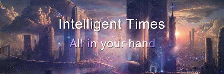 TS100 Digital OLED Programable Mini Soldering Iron Built-in STM32 Chip