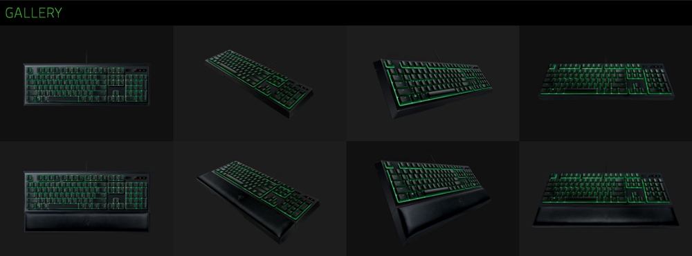 [HK Stock] Razer Ornata Wired Membrane Gaming Keyboard 104 Keys With Mid-Height Keycaps Wrist Rest Green Blacklight US Layout - Black