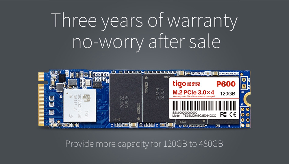 Tigo P600 120GB M.2 2280 Interface High Speed SSD Solid State Drive Hard Disk Support Laptop / PC - Blue