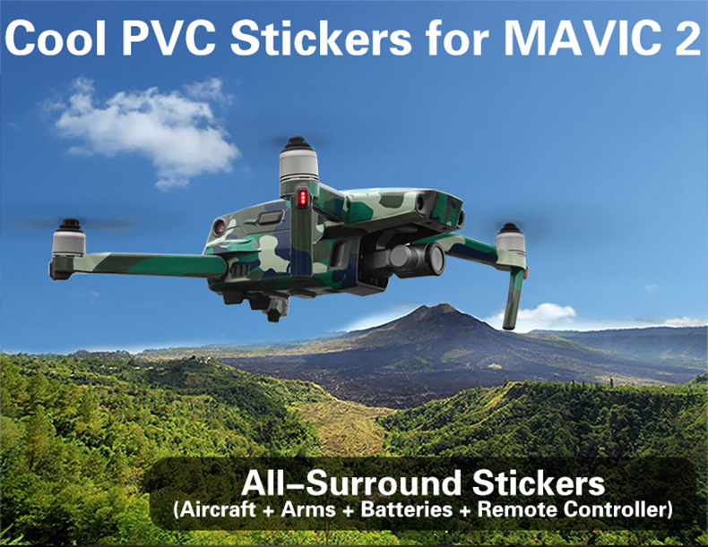 Sunnylife PVC Stickers for DJI Mavic 2 Pro/Zoom RC Drone - Flame Skull