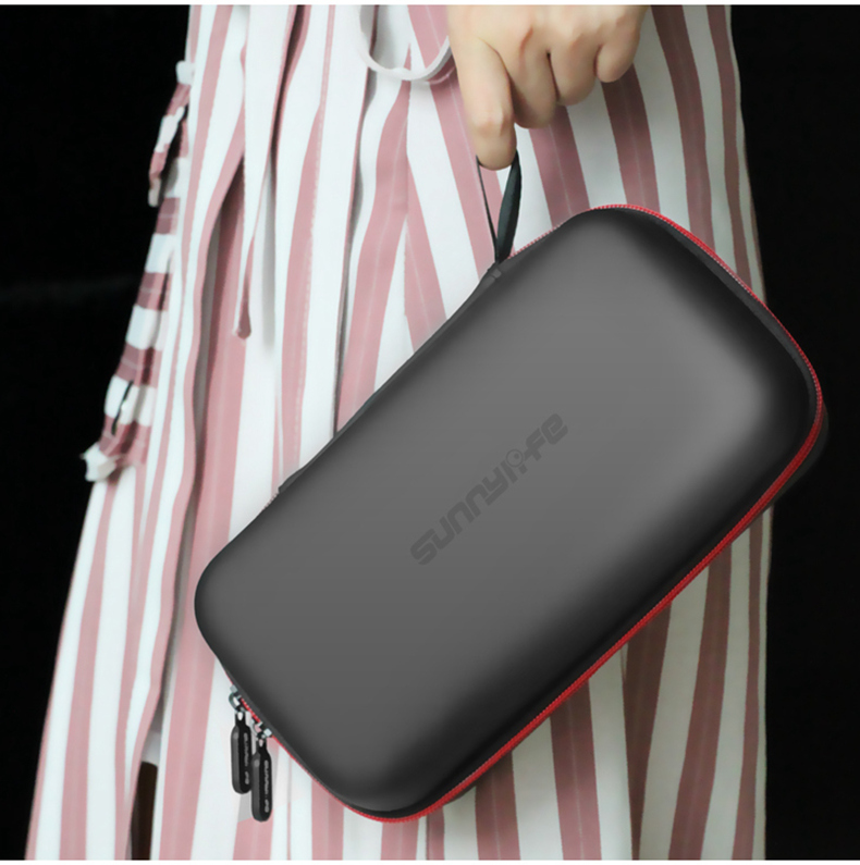 Sunnylife Mini Carrying Case for DJI Mavic 2 Pro/Zoom RC Drone