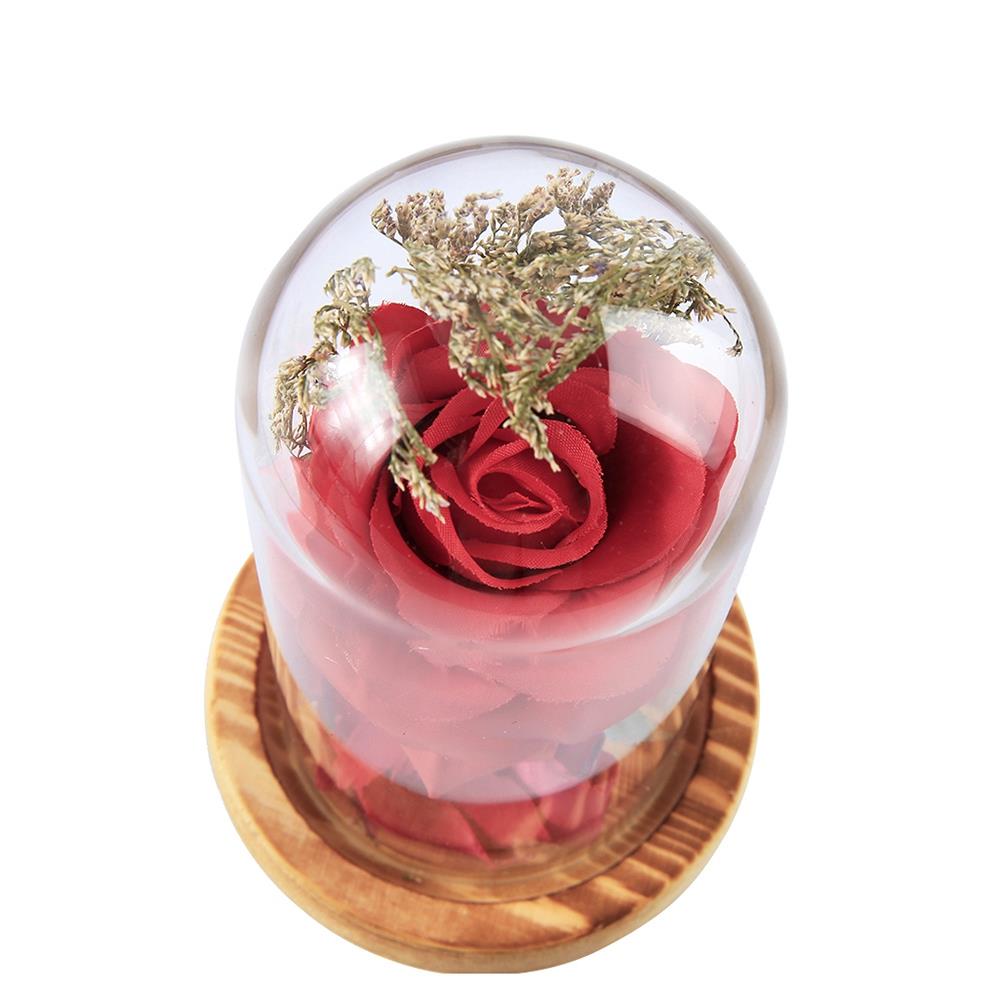 Flowers Glass Cover Flower LED Light for Valentine's Day Gift Christmas Wedding - Red (Type B)