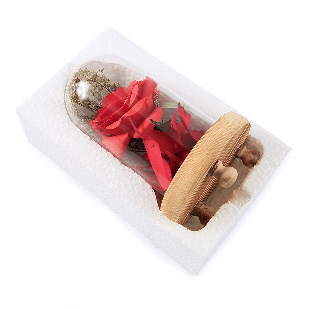 Flowers Glass Cover Flower LED Light for Valentine's Day Gift Christmas Wedding - Red (Type B)