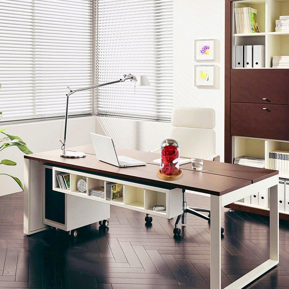 Flowers Glass Cover Flower LED Light for Valentine's Day Gift Christmas Wedding - Red (Type B)