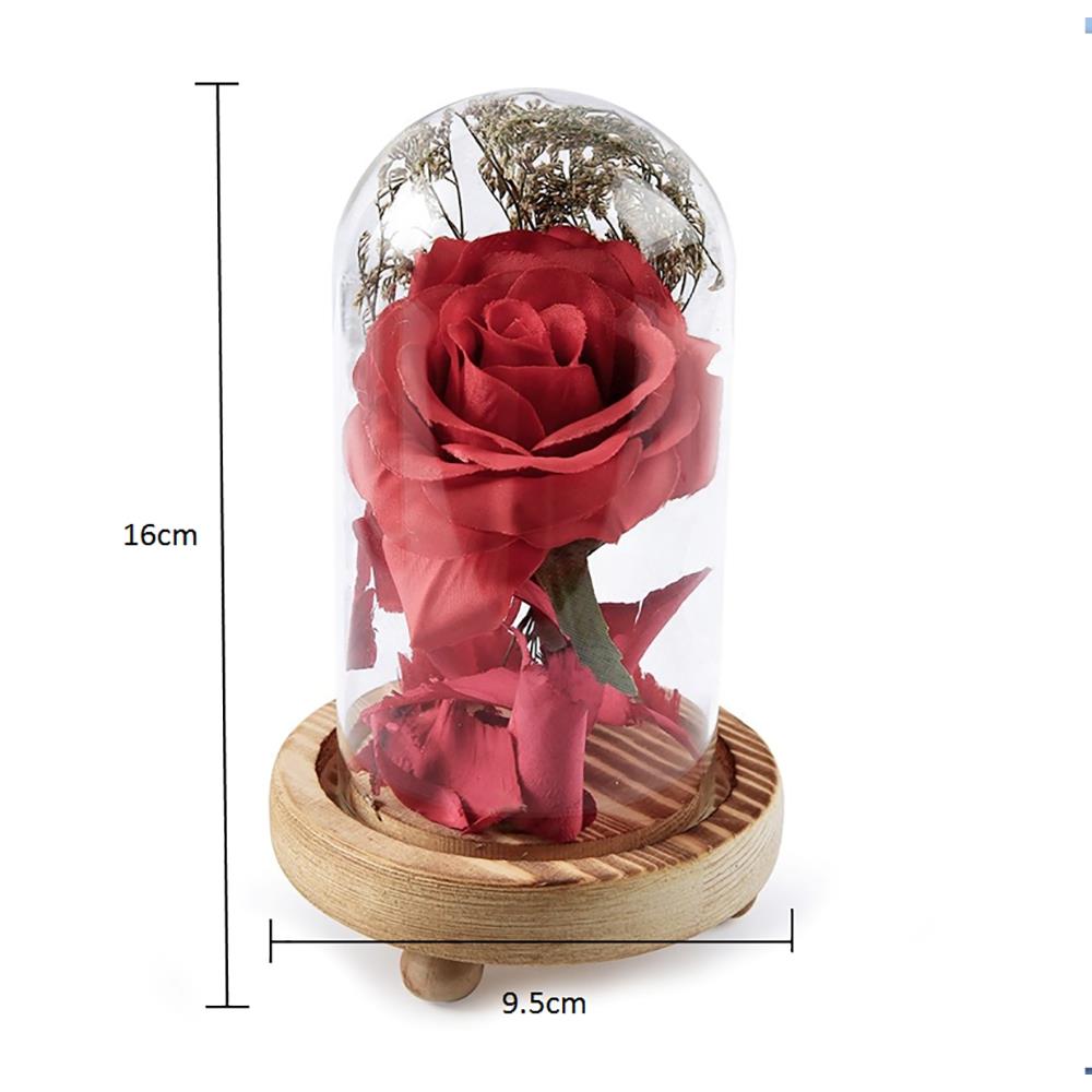 Flowers Glass Cover Flower LED Light for Valentine's Day Gift Christmas Wedding - Red (Type B)