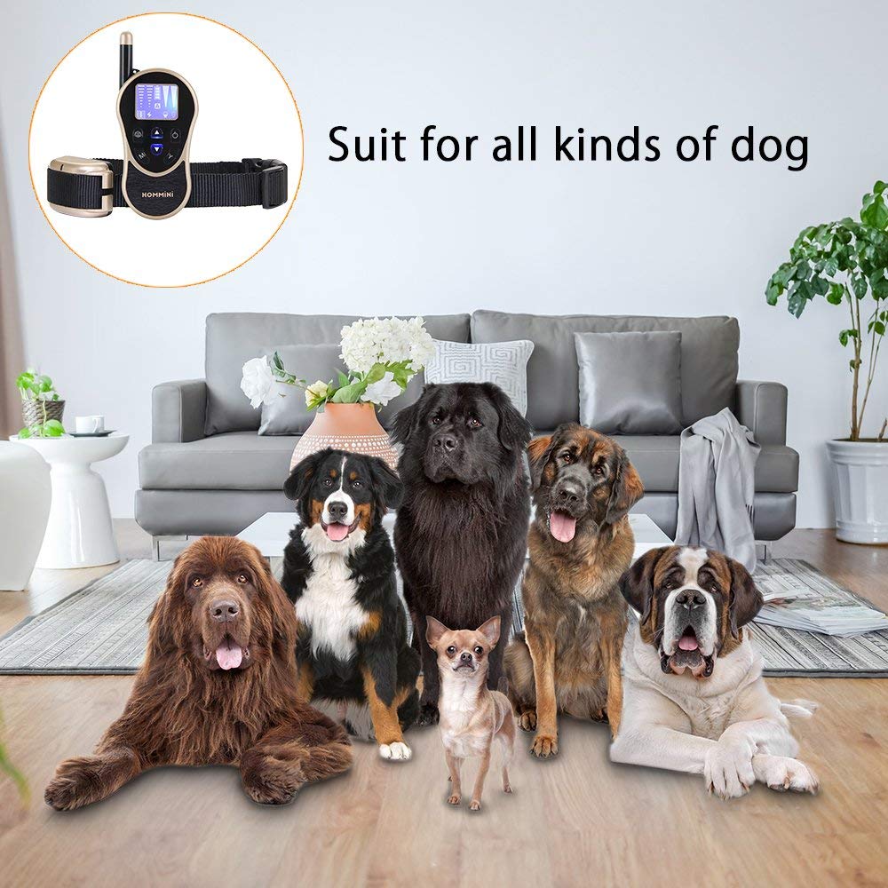 [US Stock]HOMMINI Dog Training Collar 880 Yards Remote Control IPX7 Water Resistant 8 Levels Beep Vibration - Gold