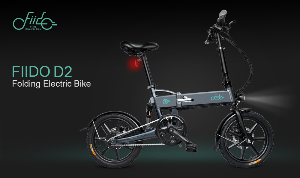 FIIDO D2 Folding Electric Moped Bike Three Riding Modes 16 Inch Tires 250W Motor 25km/h 7.8Ah Lithium Battery 20-35KM Range - Black