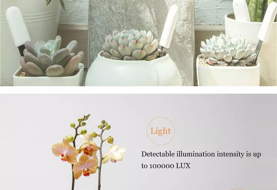 Xiaomi Flora Flower Monitor Light Green