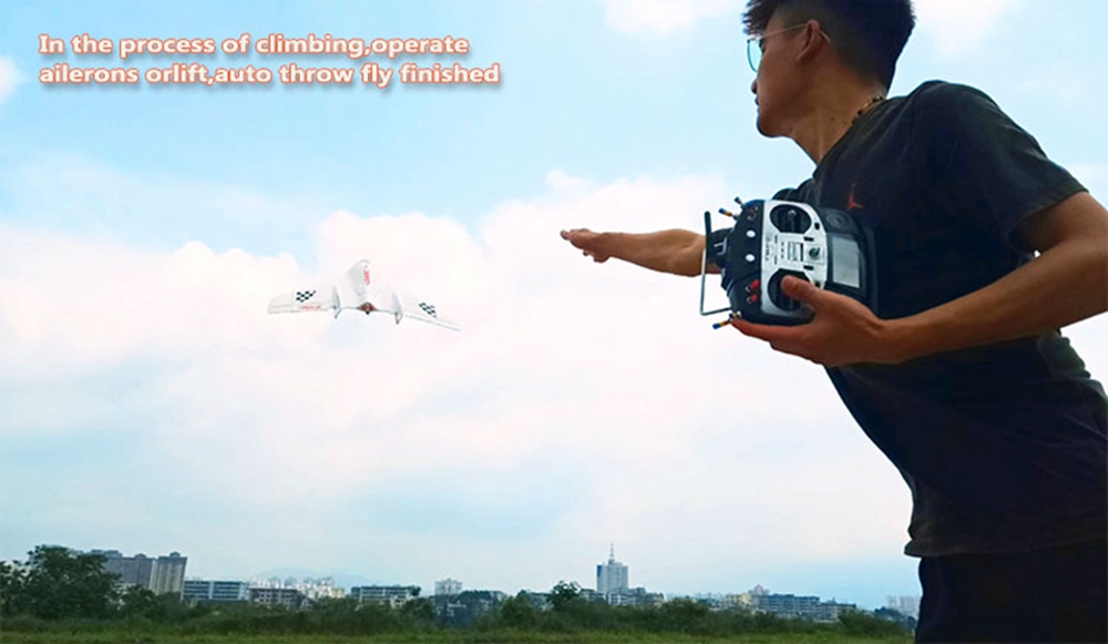 LDARC Tiny Wing 450X 2S 431mm Wingspan EPP FPV Racing Flywing RC Airplane PNP