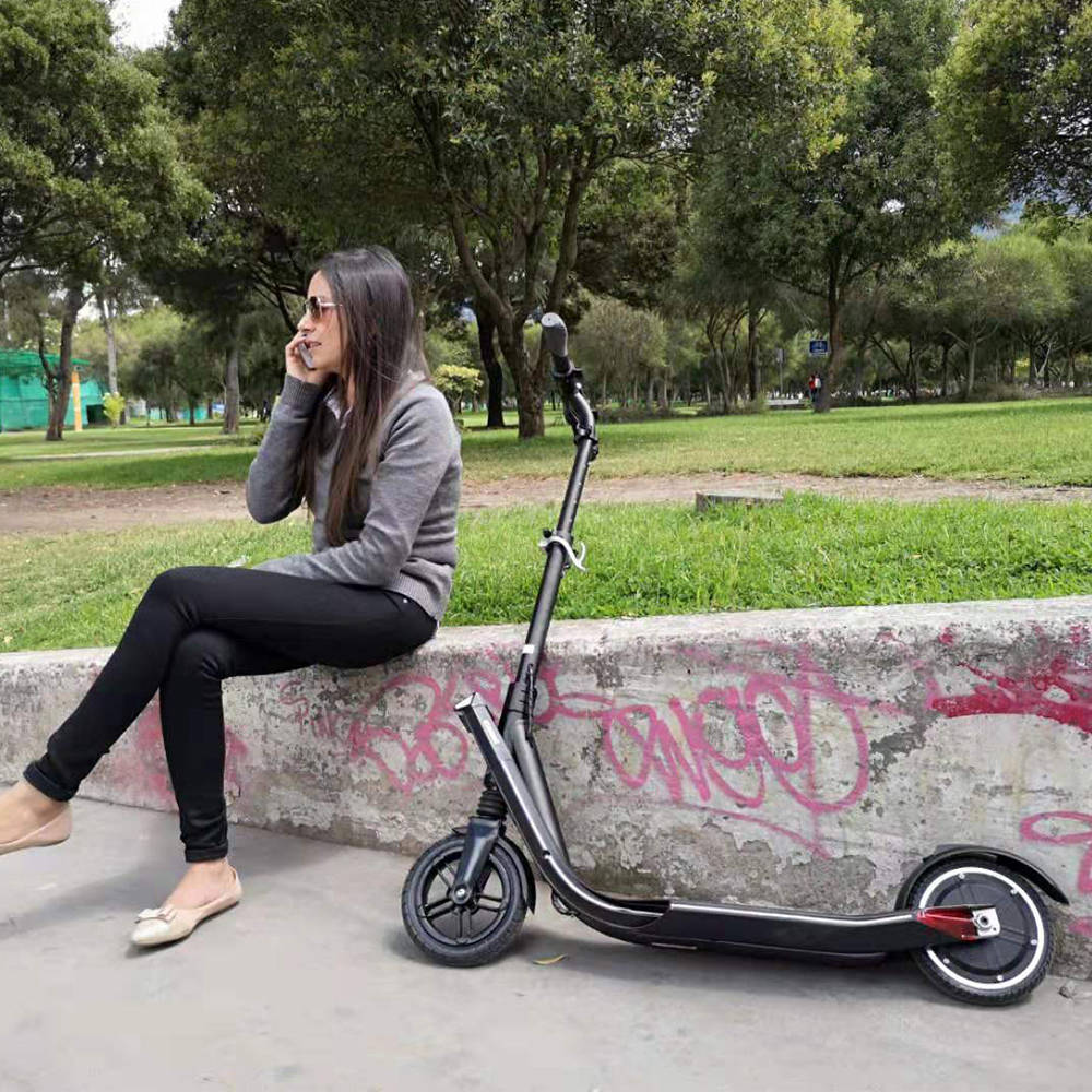 Eswing ESKICK Folding Electric Scooter 250W Motor 8 Inches Solid Rear Anti-Skid Tire - Silvery