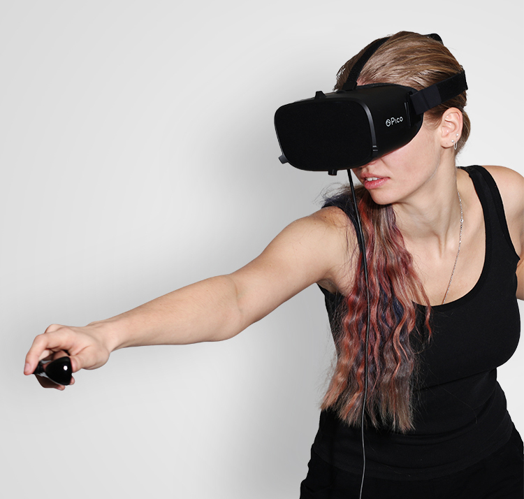 Pico Neo DKS Standard Qualcomm Snapdragon 820 70Hz FOV96 Immersive 3D VR Virtual Reality All-in-one Headset - Black