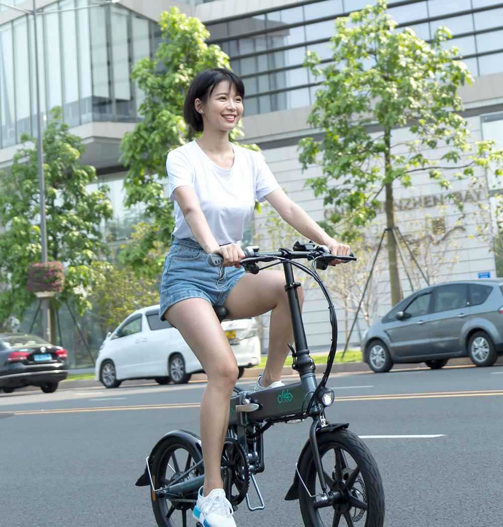 FIIDO D2 Folding Moped Electric Bike Variable Speed Version 16-inch Tires 250W Motor Max 25km/h 7.8Ah Battery - Gray