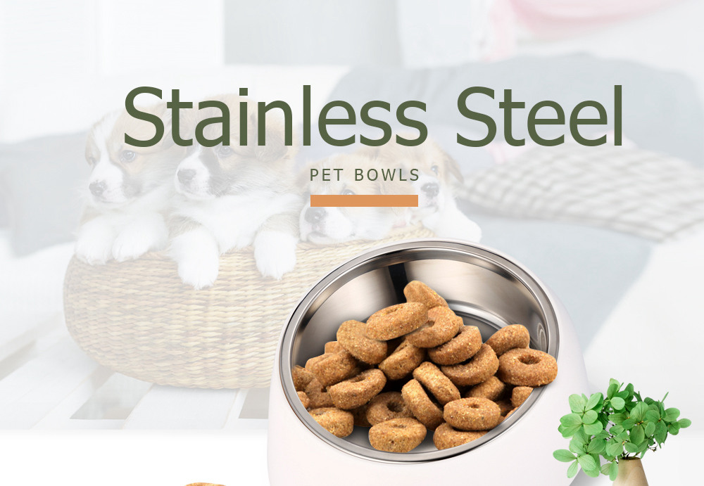 Xiaomi Youpin Stainless Steel Pet Dog Bowl 15 Degree Tilted Feeder Rust-resistant Non-skid Design