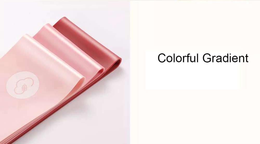 3pcs Xiaomi YUNMAI Elastic Band For Yoga Gymnastics Exercise 10lbs/20lbs/30lbs - Pink Series