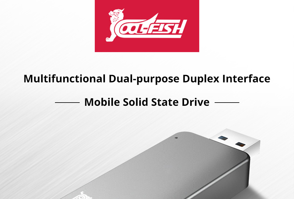 Coolfish GO NGFF 128GB SSD Multifunctional Dual-purpose External Solid State Drive Max Read Speed 480MB/S M.2 Interface - Dark Gray