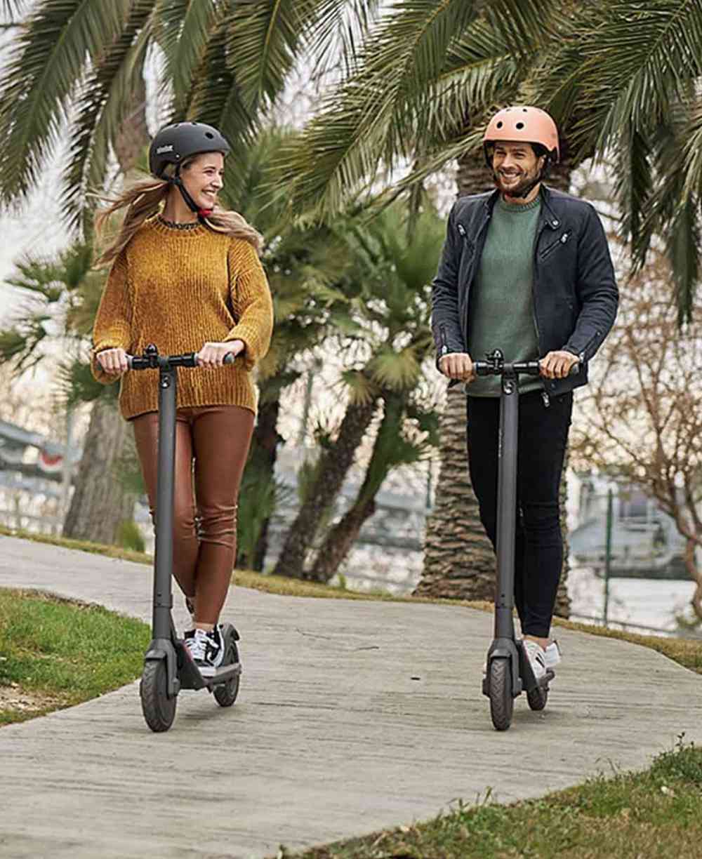 Ninebot E22 Folding Electric Scooter 300W Brushless Motor LED Display Max 20KM/H 9 Inch Vacuum Anti-puncture Tire Three Riding Mode - Black