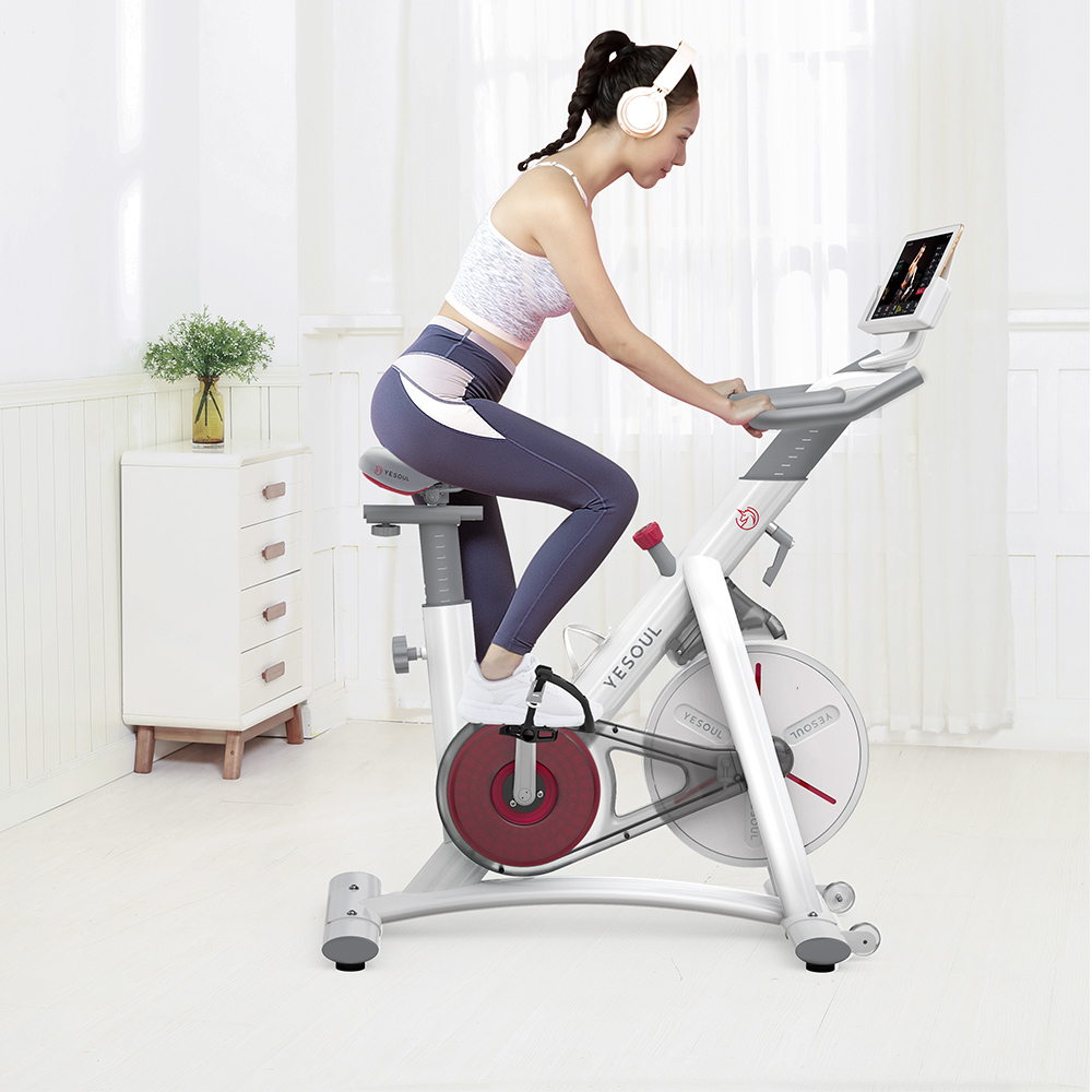 Yesoul S3 Belt drive Spinning Bike Cycling Exercise Fitness Bike Adjustable Height for Indoor Workout APP Support Ios Android - Black